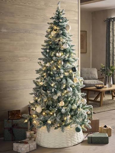 Big Beautiful Tree